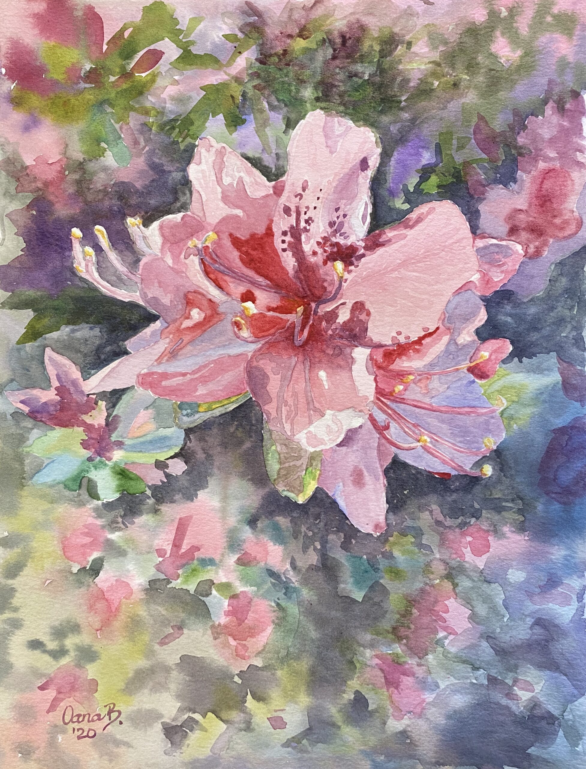 A watercolor painting a pink blossom flower in spring time with other flowers visible in the background.
