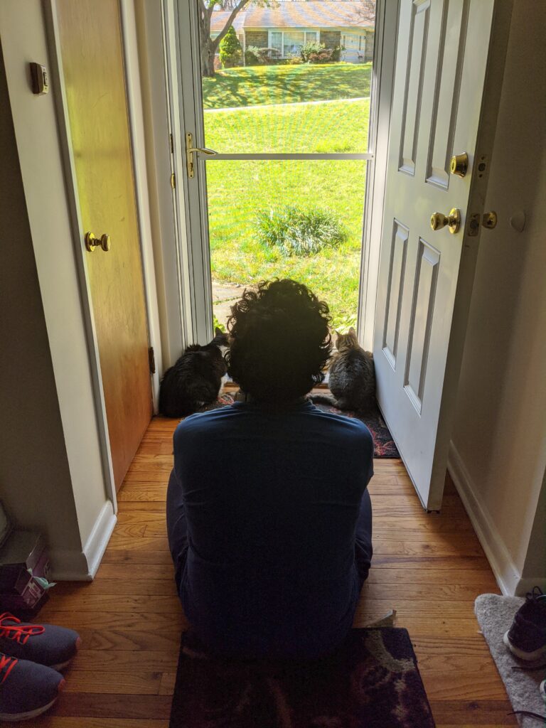 A photographic image of an individual with short dark curly hair having their back turned to the camera as they are gazing outside from their house. Two cats are are looking out the clear- glass screen. The view outside shows a sunny day with green grass and visibility of a house in the background.