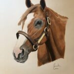A colored pencil drawing of a brown horse with a white nose.